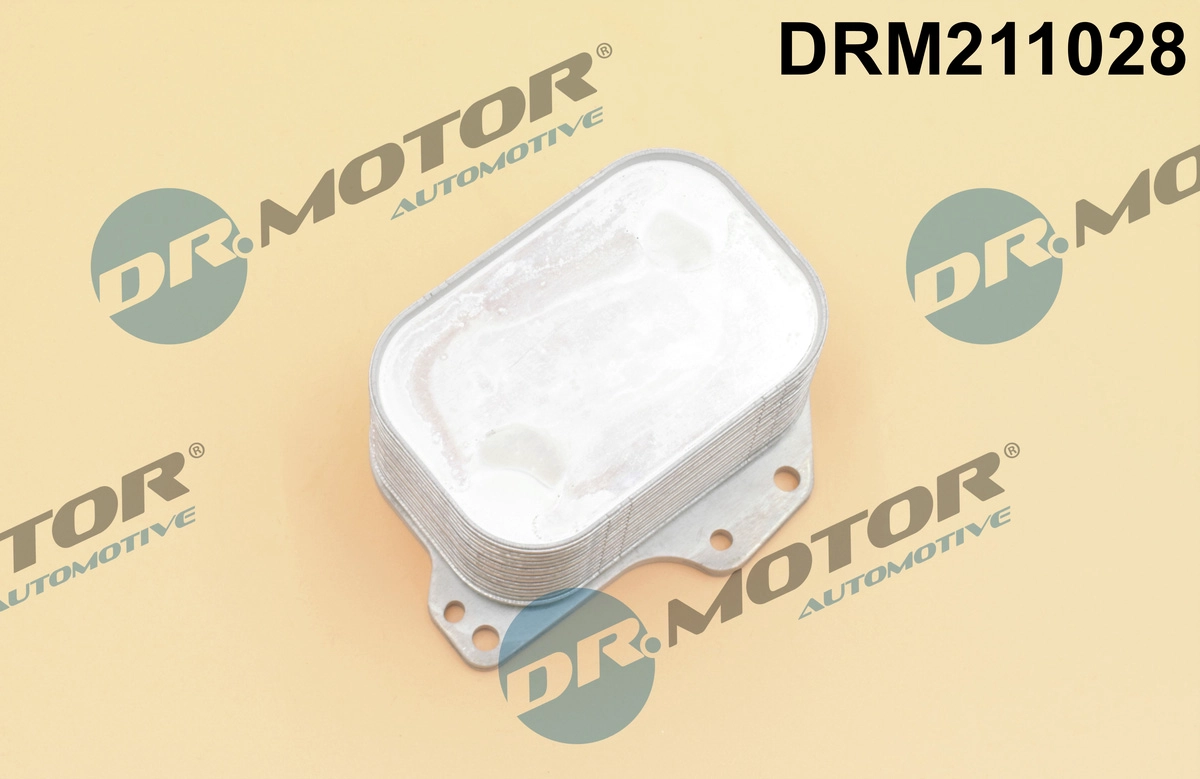 DRM211028