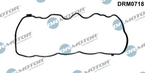 DRM0718