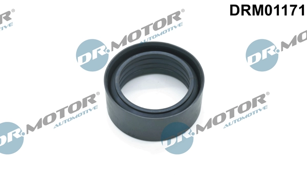DRM01171