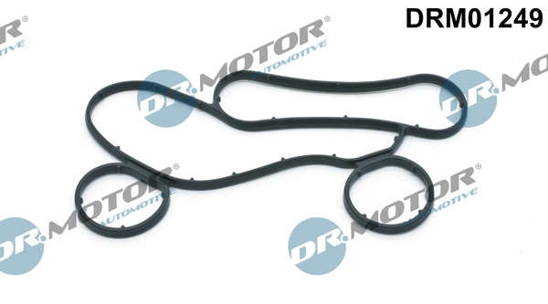 DRM01249