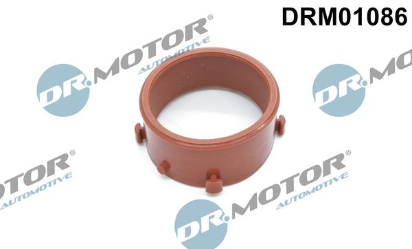 DRM01086