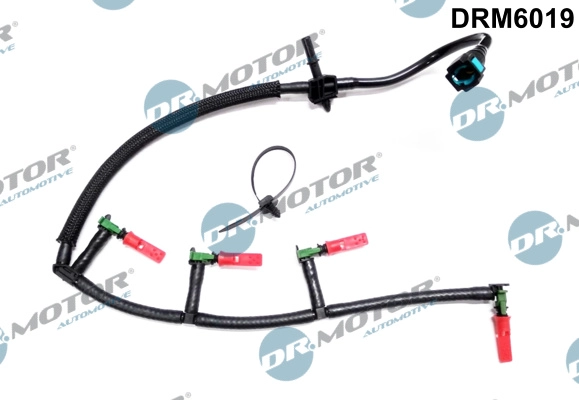 DRM6019