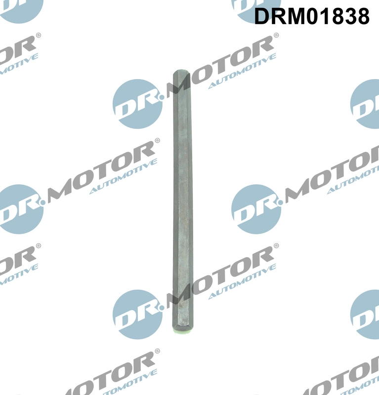 DRM01838