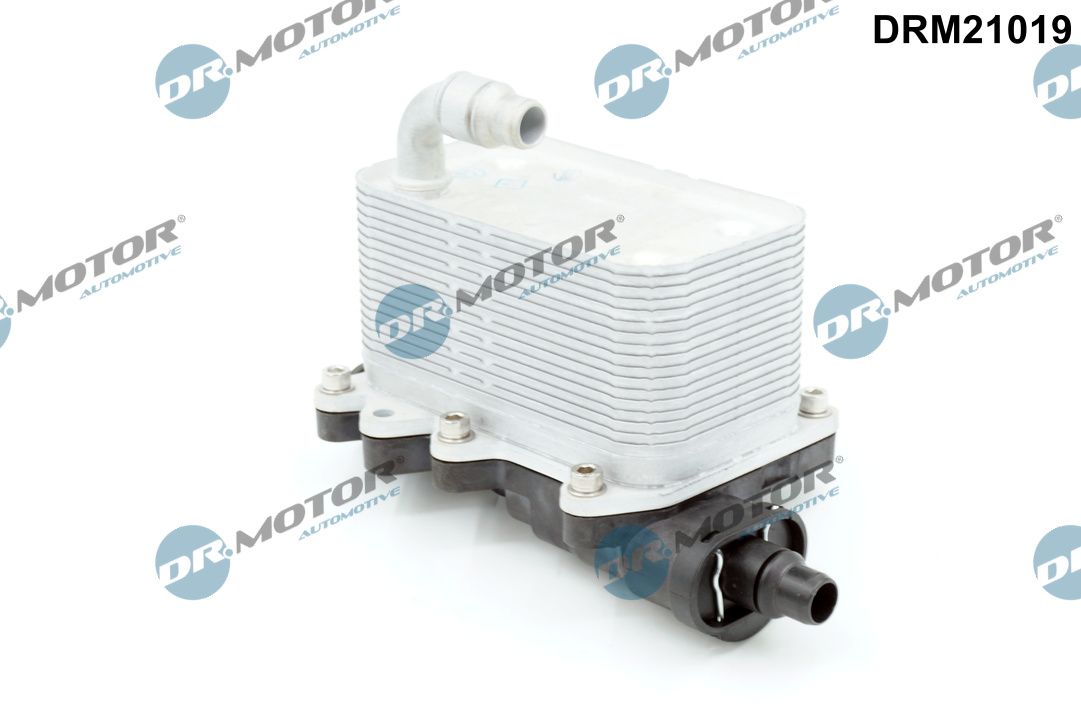 DRM21019