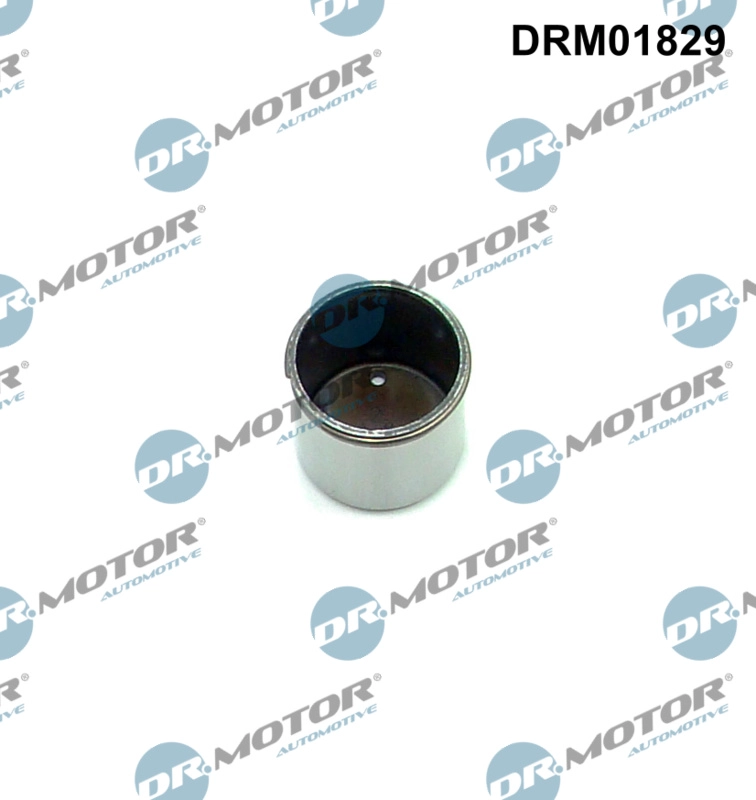 DRM01829