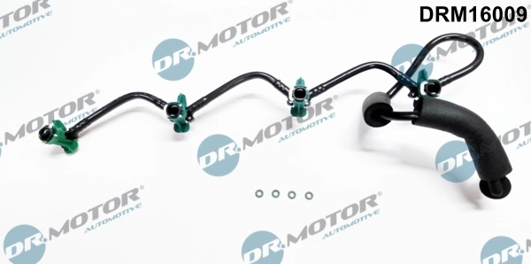 DRM16009