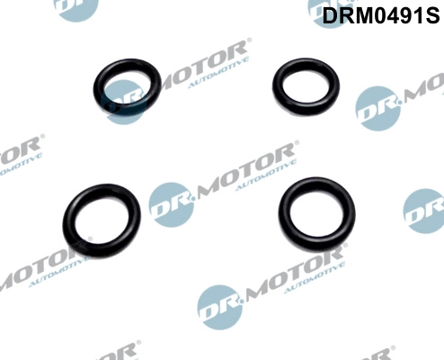 DRM0491S