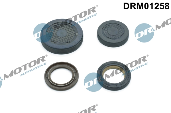 DRM01258