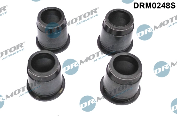 DRM0248S