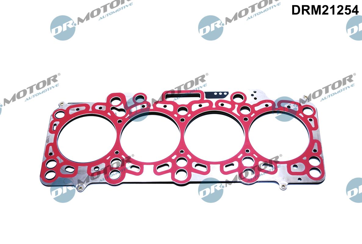 DRM21254