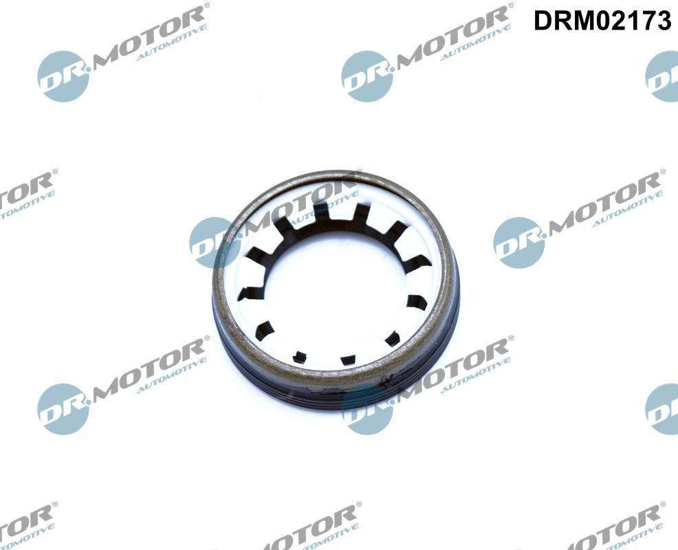 DRM02173