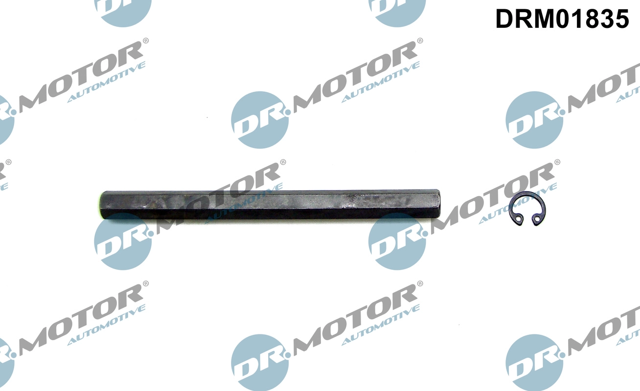 DRM01835