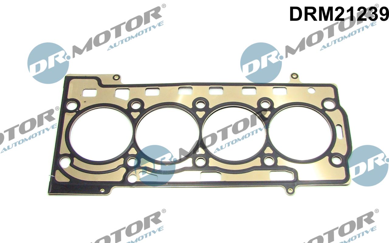 DRM21239