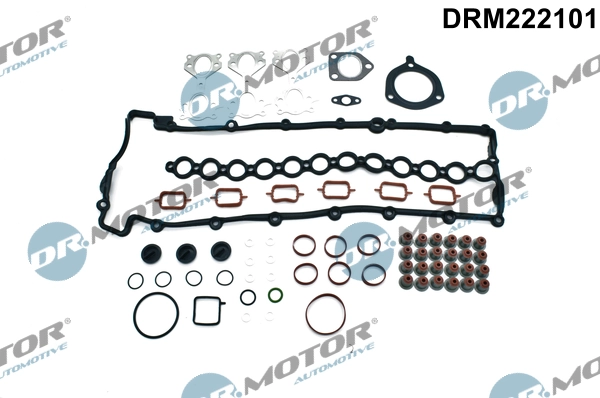 DRM222101