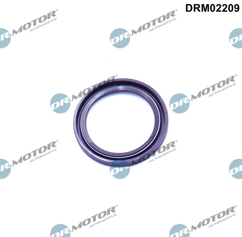 DRM02209