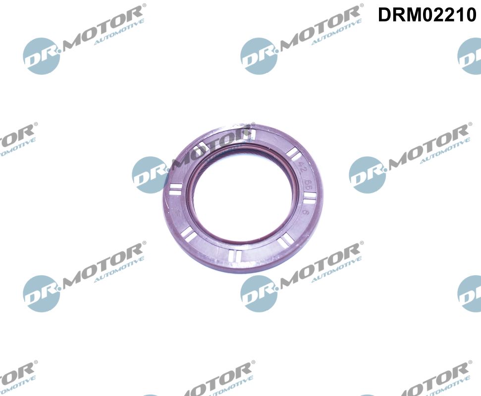 DRM02210