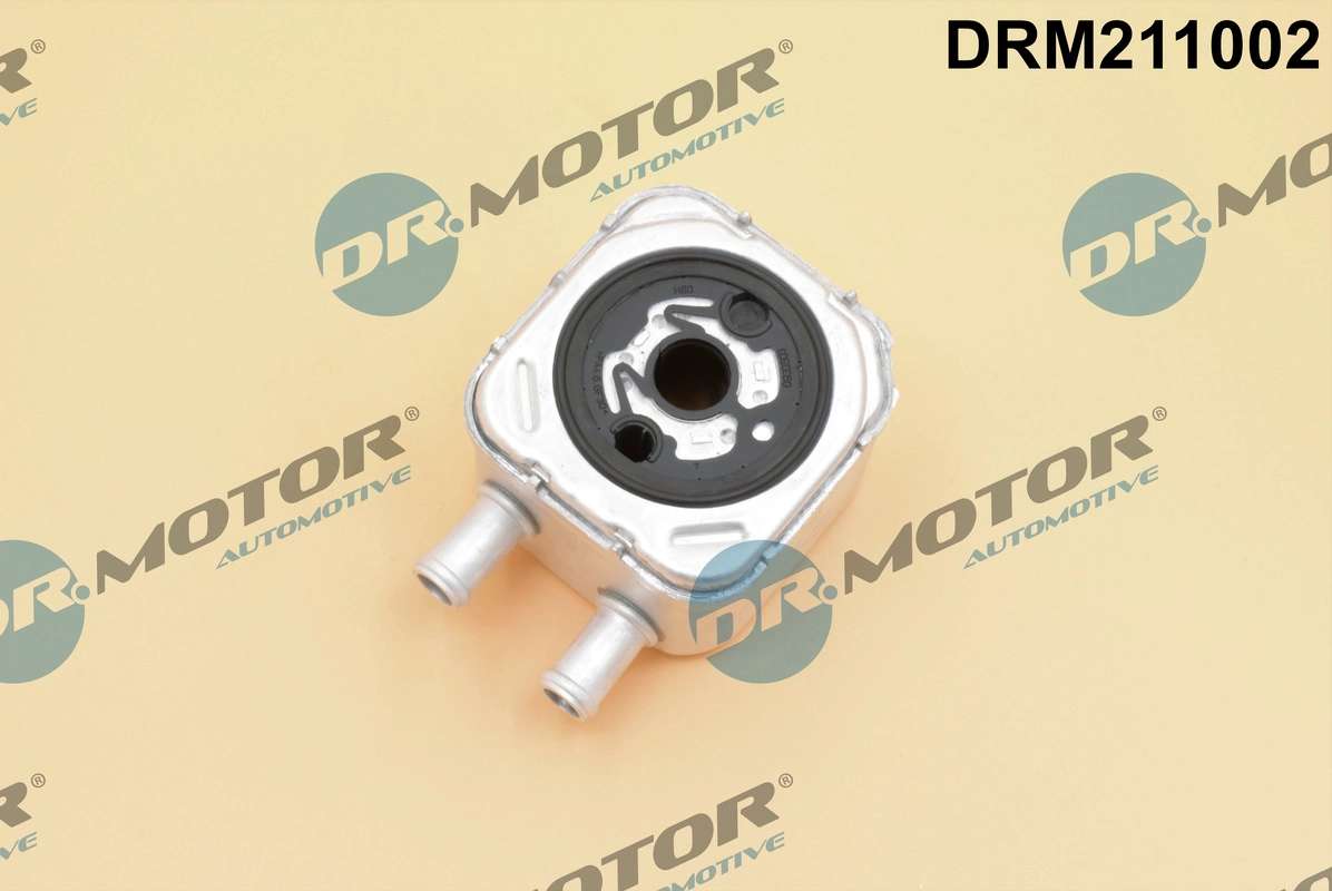 DRM211002