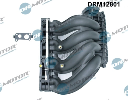 DRM12801
