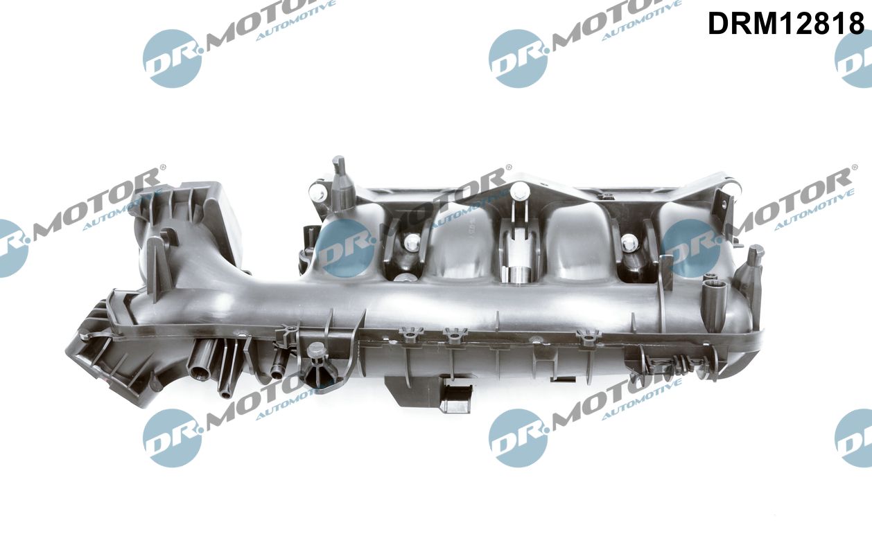 DRM12818