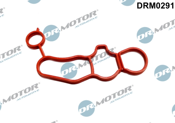 DRM0291