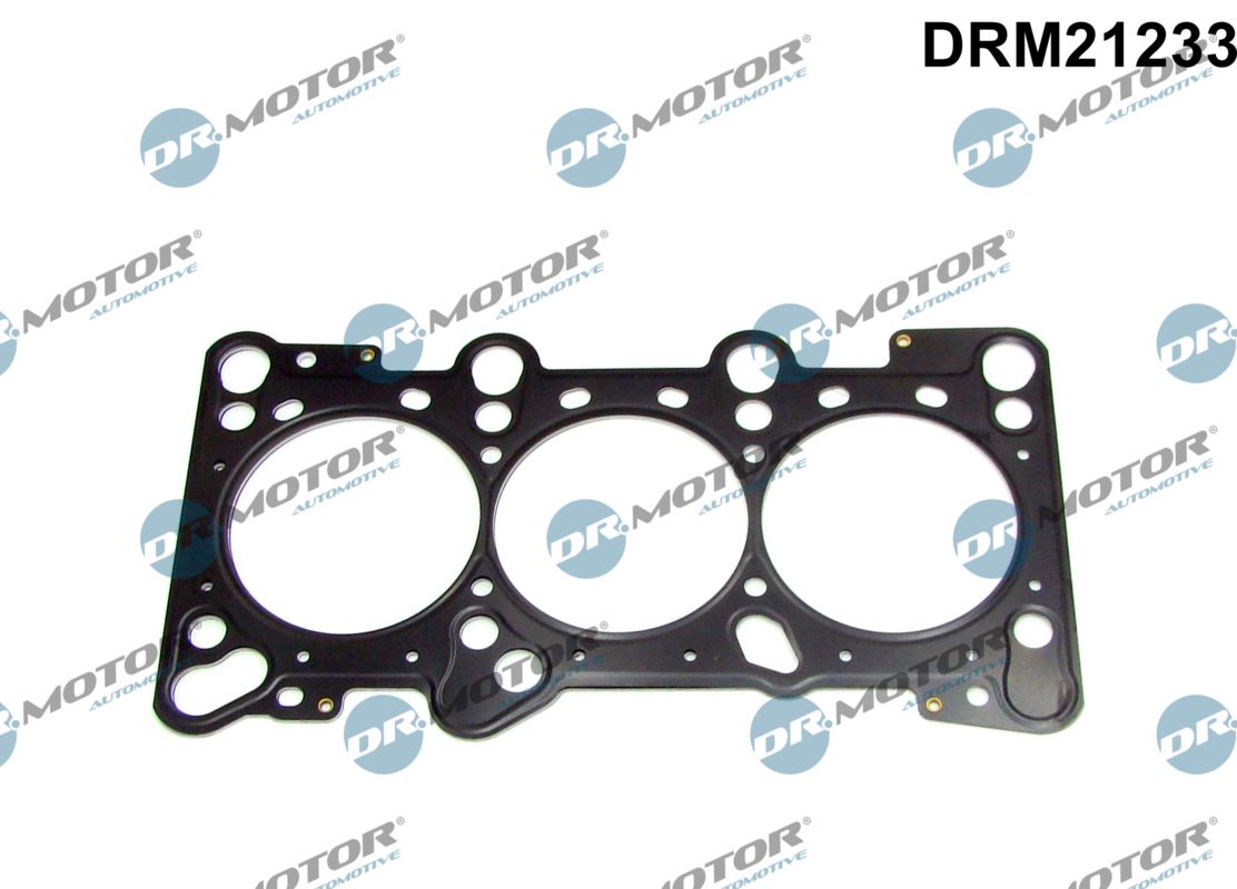 DRM21233