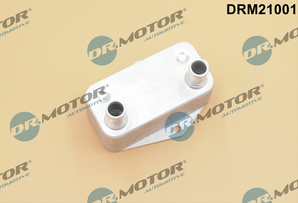 DRM21001
