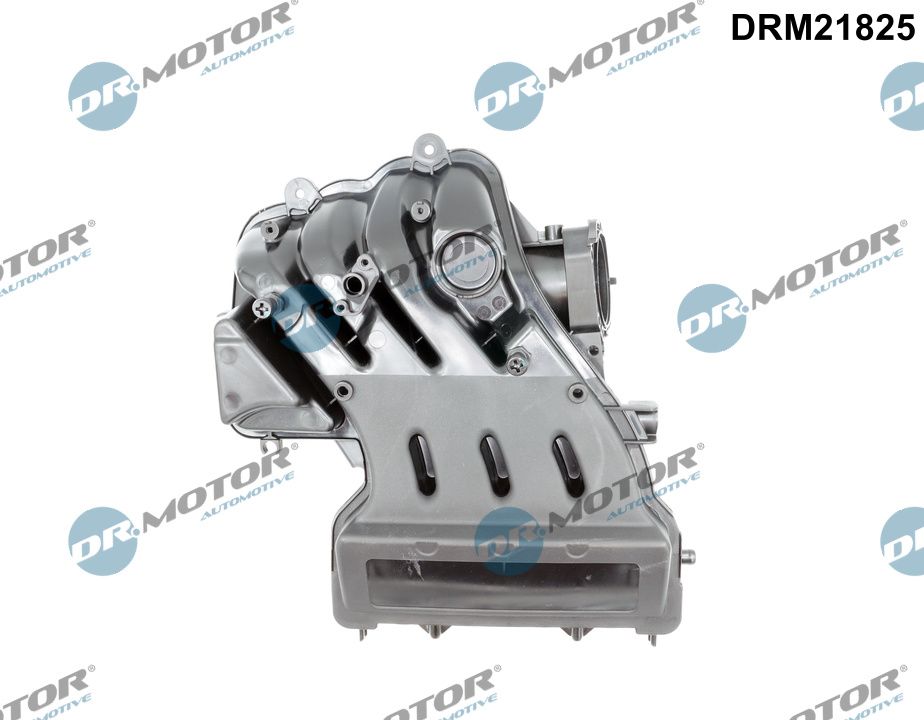 DRM21825