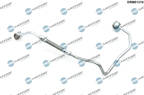 DRM01310