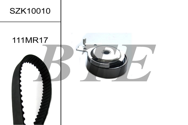SZK10010