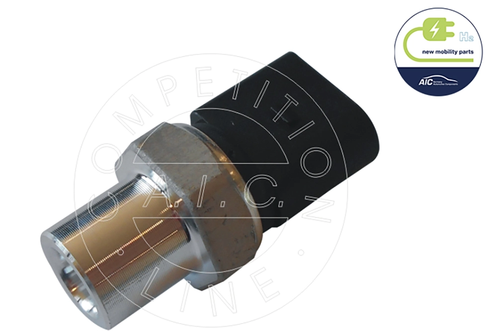 56101