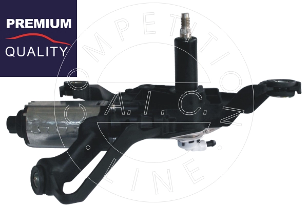 55626