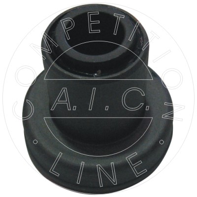 50248