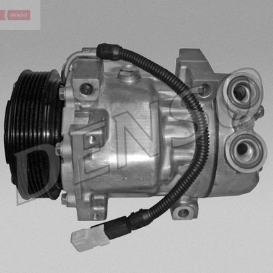 DCP07050