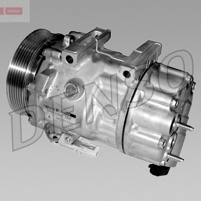 DCP07076