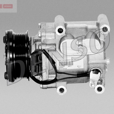 DCP10025