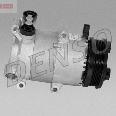 DCP10019