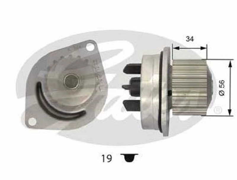 WP0038