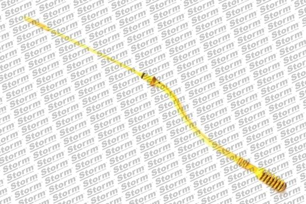 F10063