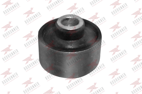BC-SB 613
