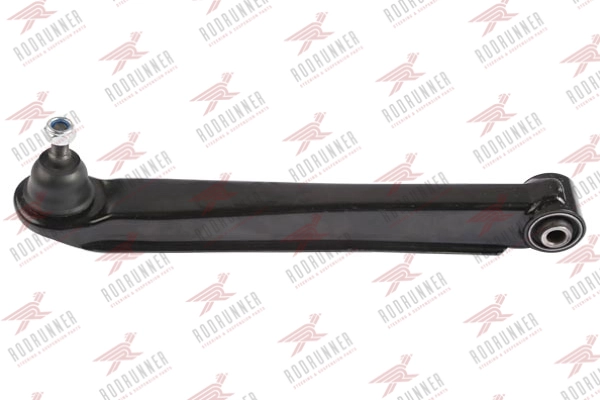 TC-HY-10181