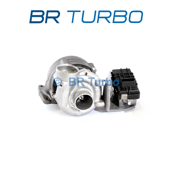 729853-5001RS