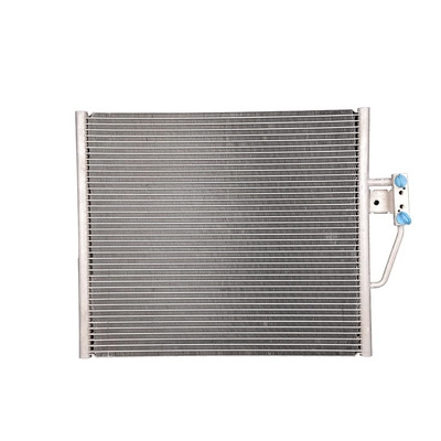 TOPT1255006