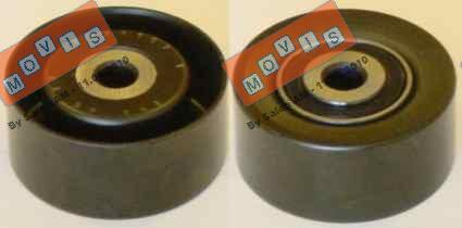 AST2487/M