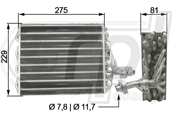 APEVVW5003