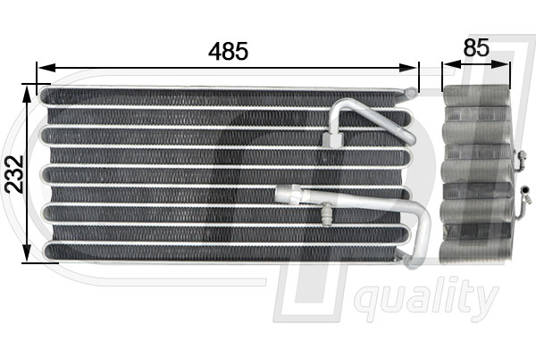 APEVVO5008
