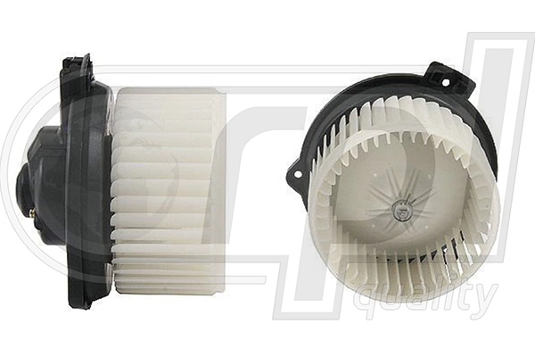 APVTHO5007