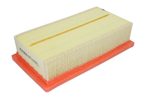 PUR-PA1009