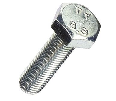 MF241306