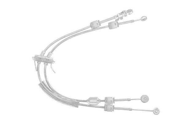 12195011