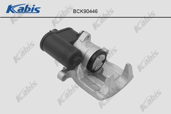 BCK90446